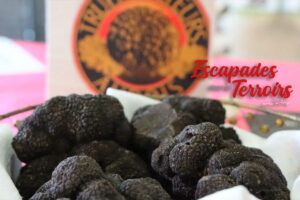 Truffes de l'Aude